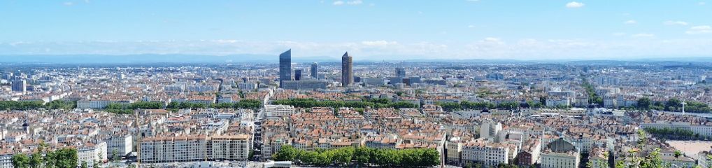 Boutiques de jeux de sociétés à Lyon